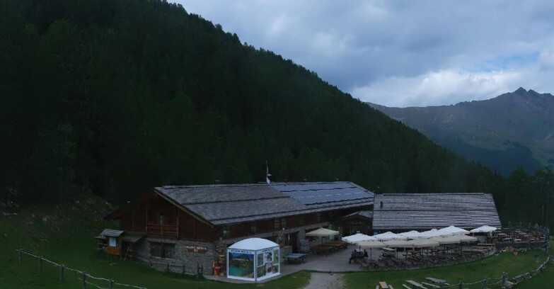 Webcam Pejo 3000 - Scoiattolo Berghütte