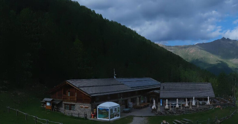 Webcam Pejo 3000 - Scoiattolo Berghütte