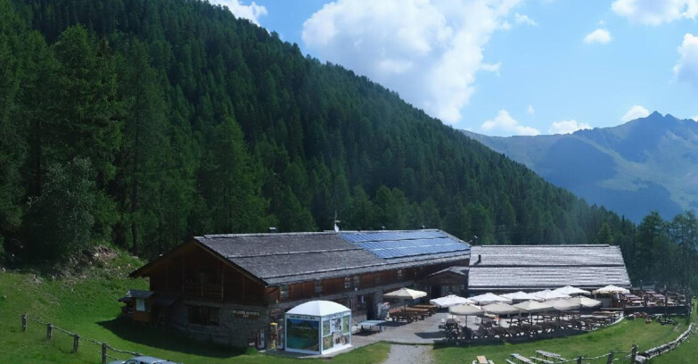 Webcam Pejo 3000 - Rifugio Scoiattolo