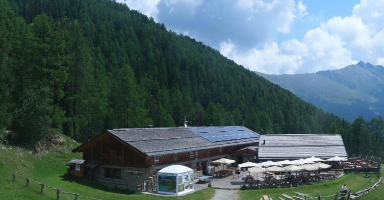 Webcam Pejo 3000 - Rifugio Scoiattolo