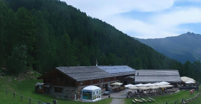 Webcam Pejo 3000 - Rifugio Scoiattolo