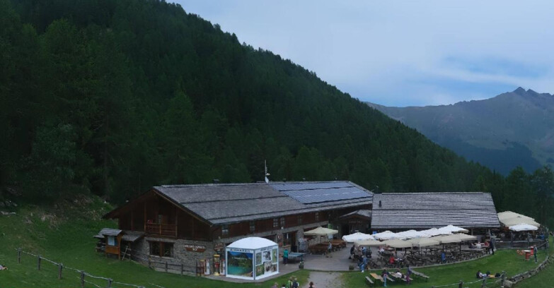 Webcam Pejo 3000 - Rifugio Scoiattolo