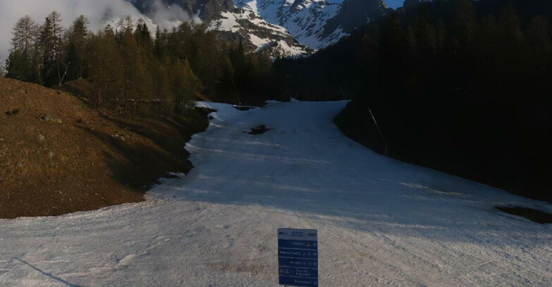 Webcam Пейо 3000 - Scoiattolo Ski School