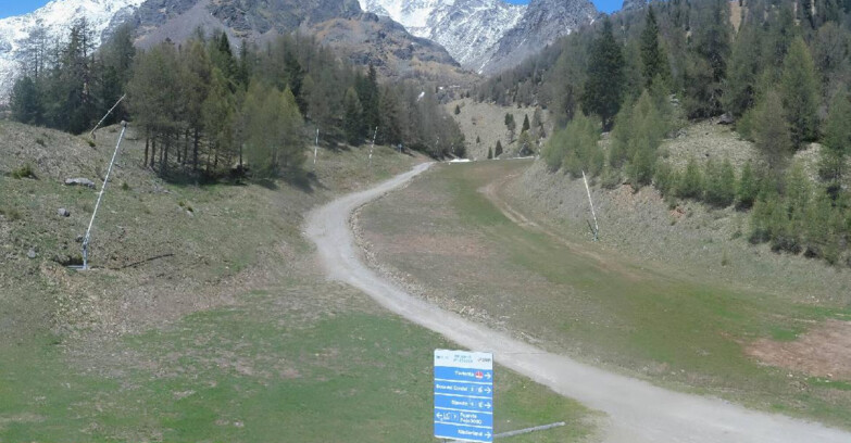 Webcam Pejo 3000 - Campo Scuola Scoiattolo