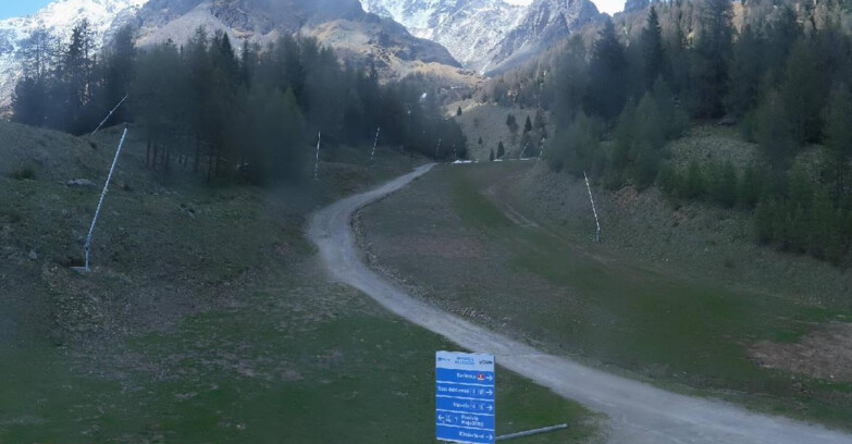 Webcam Pejo 3000 - Campo Scuola Scoiattolo