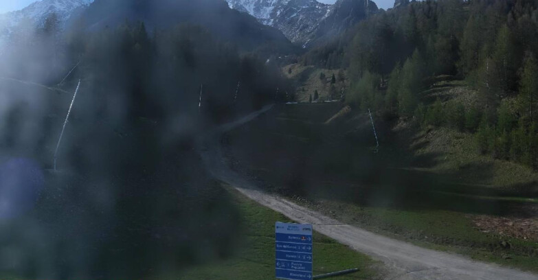 Webcam Pejo 3000 - Campo Scuola Scoiattolo