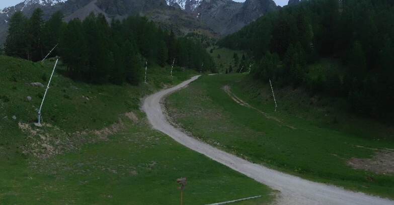 Webcam Pejo 3000 - Campo Scuola Scoiattolo
