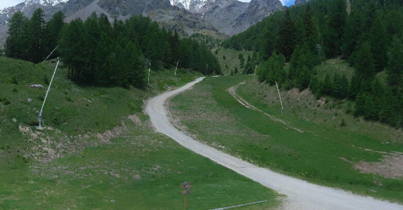 Webcam Pejo 3000 - Scoiattolo Ski School