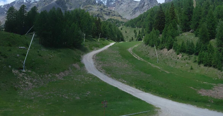 Webcam Pejo 3000 - Scoiattolo Ski School