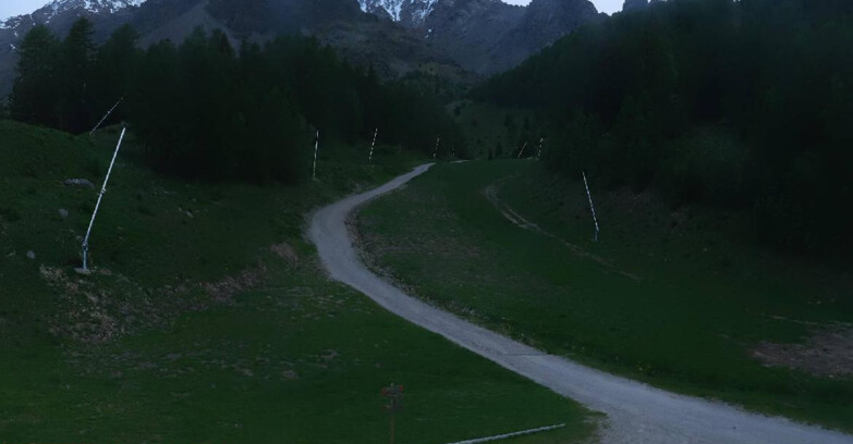 Webcam Pejo 3000 - Campo Scuola Scoiattolo