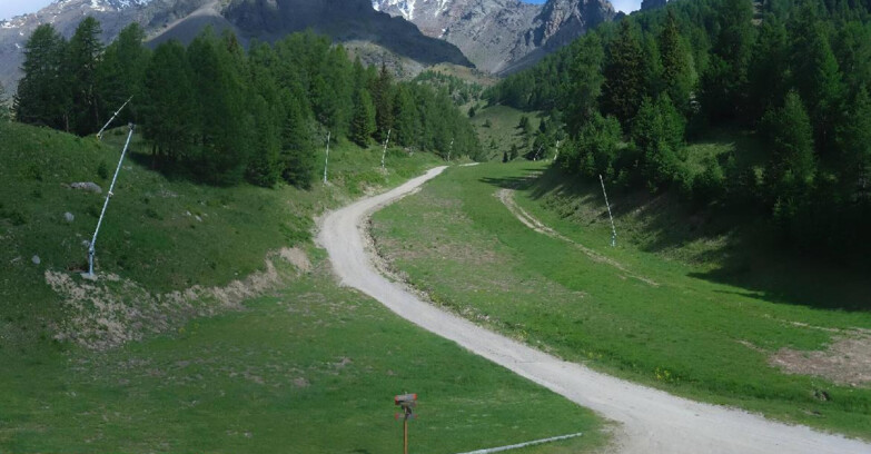Webcam Pejo 3000 - Scoiattolo Skischule