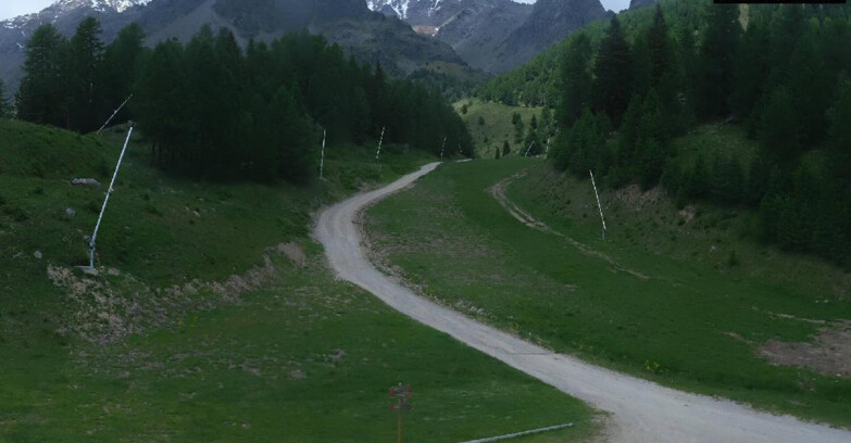 Webcam Pejo 3000 - Scoiattolo Skischule