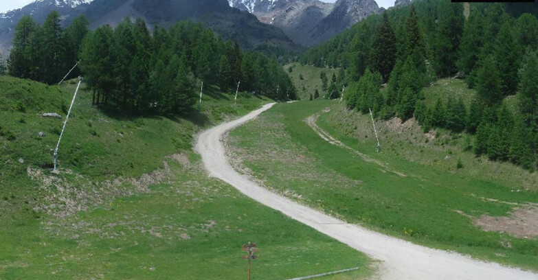 Webcam Pejo 3000 - Scoiattolo Skischule