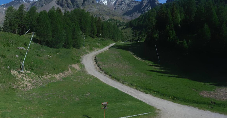 Webcam Pejo 3000 - Scoiattolo Skischule