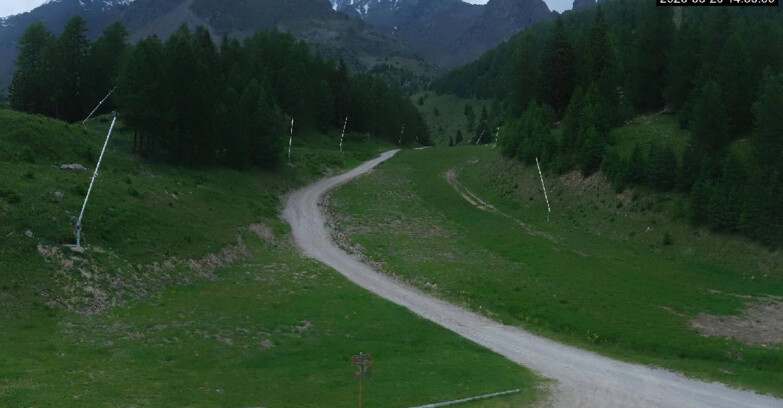 Webcam Пейо 3000 - Scoiattolo Ski School