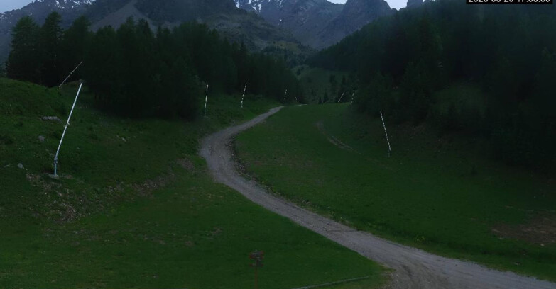 Webcam Пейо 3000 - Scoiattolo Ski School