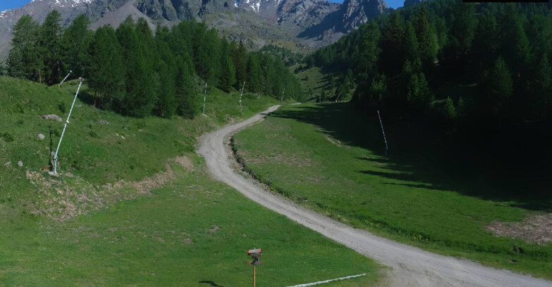 Webcam Пейо 3000 - Scoiattolo Ski School