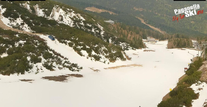 Webcam Paganella Ski -Андало-Фаи-делла-Паганелла  - Pista Olimpionica 3