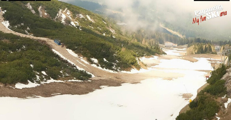Webcam Paganella Ski – Andalo – Fai della Paganella - Pista Olimpionica 3