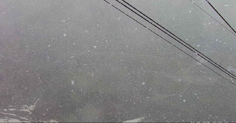 Webcam Пассо Сан-Пеллегрино-Фалькаде  - Passo San Pellegrino