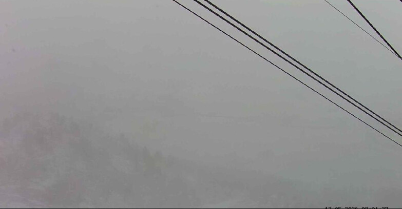 Webcam Passo San Pellegrino-Falcade - Passo San Pellegrino