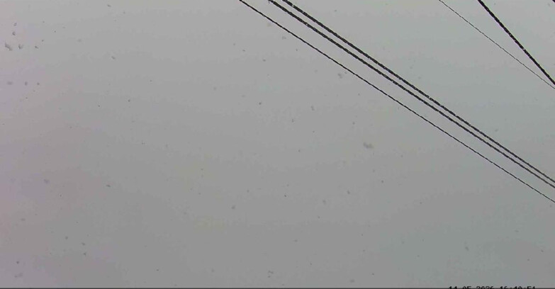 Webcam Passo San Pellegrino-Falcade - Passo San Pellegrino