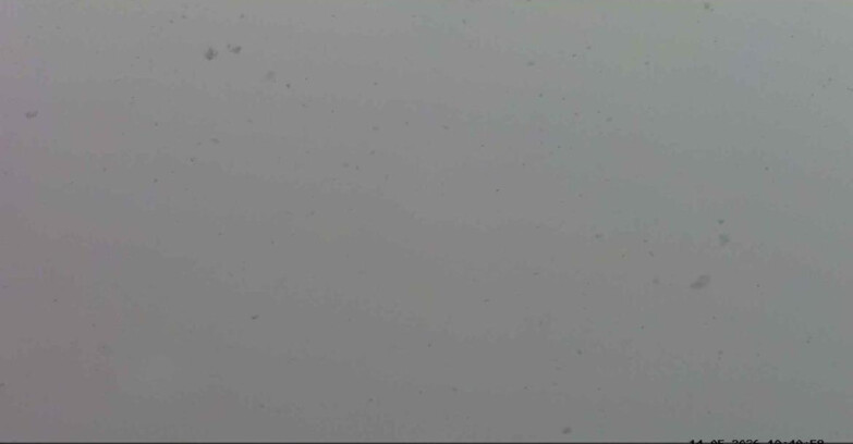 Webcam Passo San Pellegrino-Falcade - Marmolada