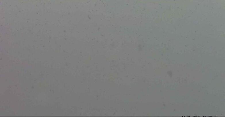 Webcam Passo San Pellegrino-Falcade - Marmolada