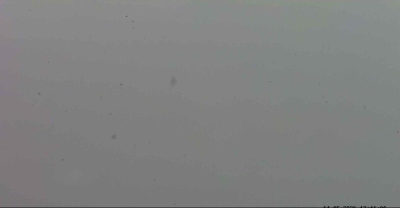 Webcam Passo San Pellegrino-Falcade - Marmolada