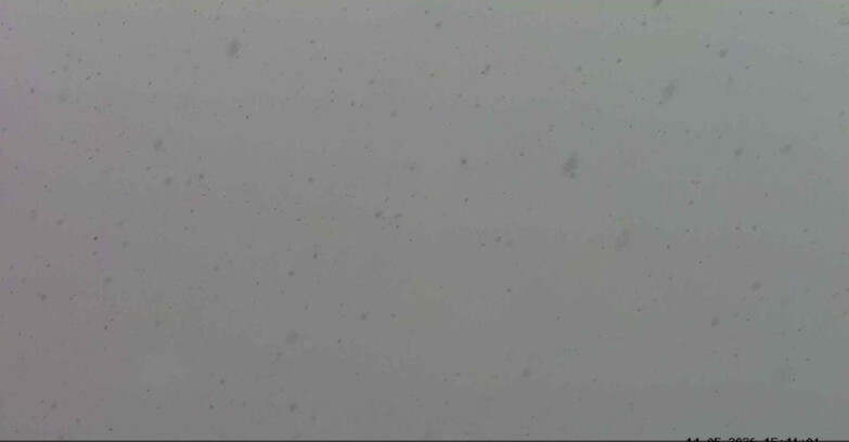 Webcam Passo San Pellegrino-Falcade - Marmolada