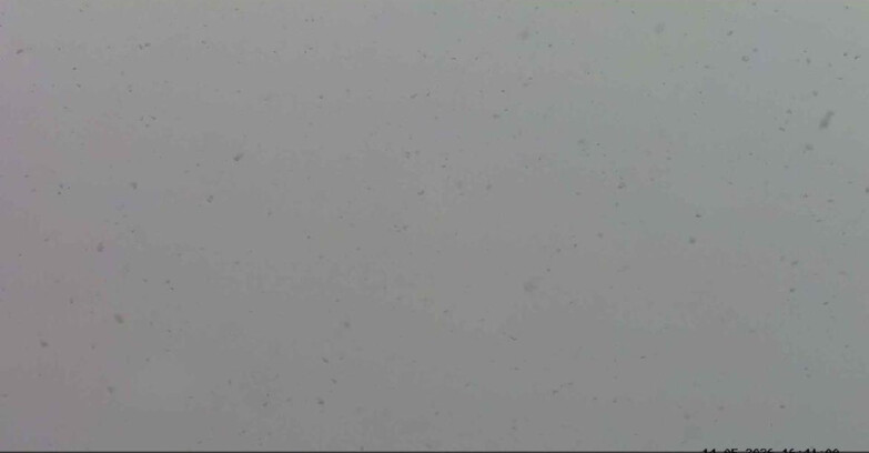 Webcam Passo San Pellegrino-Falcade - Marmolada