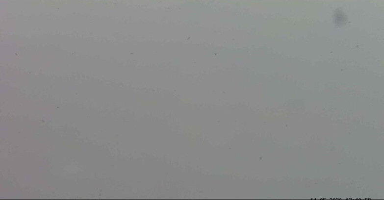 Webcam Passo San Pellegrino-Falcade - Marmolada