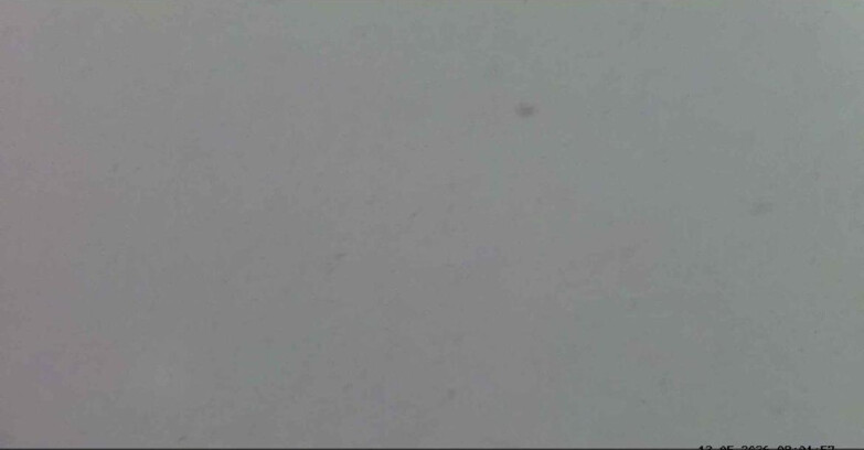 Webcam Passo San Pellegrino-Falcade - Seggiovia Cima Uomo