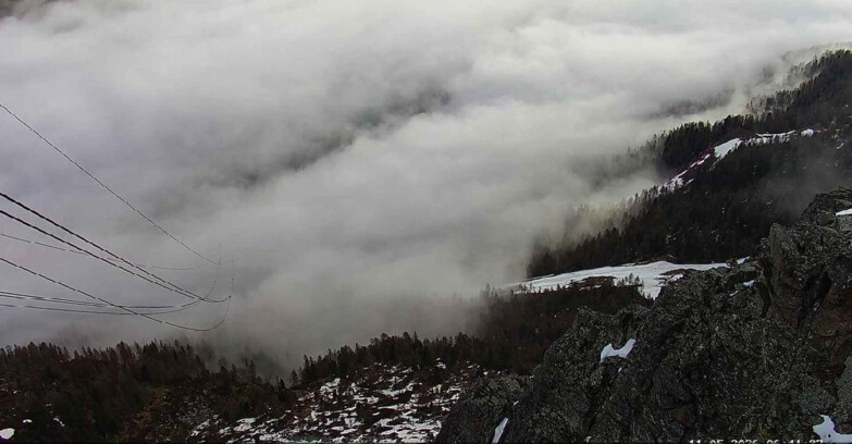 Webcam Пассо Сан-Пеллегрино-Фалькаде  - Pista Funivia