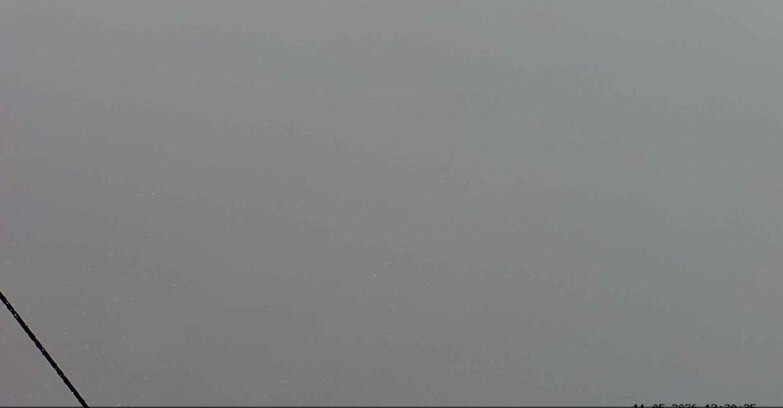 Webcam Пассо Сан-Пеллегрино-Фалькаде  - Costabella - Cima Uomo