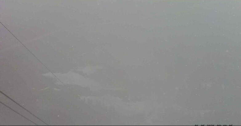 Webcam Passo San Pellegrino-Falcade  - Arrivo Seggiovia