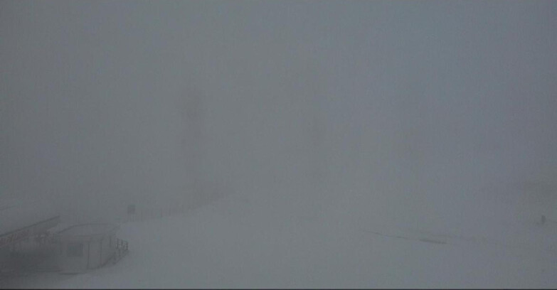 Webcam Bellamonte-Alpe Lusia  - Bellamonte Alpe Lusia - Le Cune