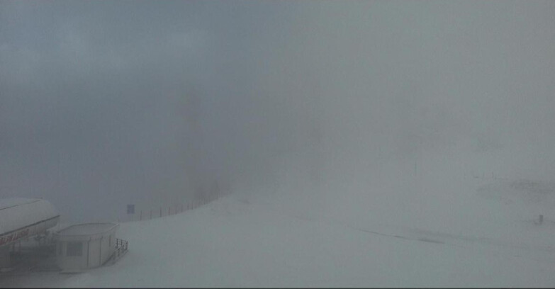 Webcam Bellamonte-Alpe Lusia  - Bellamonte Alpe Lusia - Le Cune