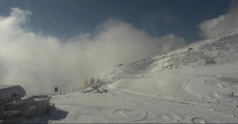 Webcam Bellamonte-Alpe Lusia  - Bellamonte Alpe Lusia - Le Cune