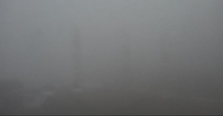 Webcam Bellamonte-Alpe Lusia  - Bellamonte Alpe Lusia - Le Cune