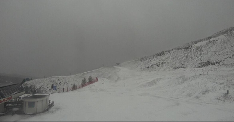 Webcam Bellamonte-Alpe Lusia  - Bellamonte Alpe Lusia - Le Cune