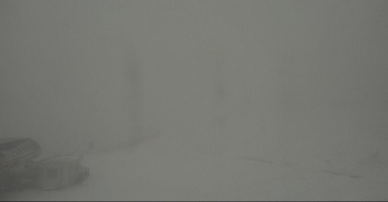 Webcam Bellamonte-Alpe Lusia - Bellamonte Alpe Lusia - Le Cune