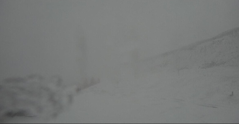 Webcam Bellamonte-Alpe Lusia - Bellamonte Alpe Lusia - Le Cune