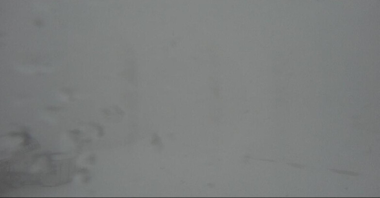 Webcam Bellamonte-Alpe Lusia - Bellamonte Alpe Lusia - Le Cune