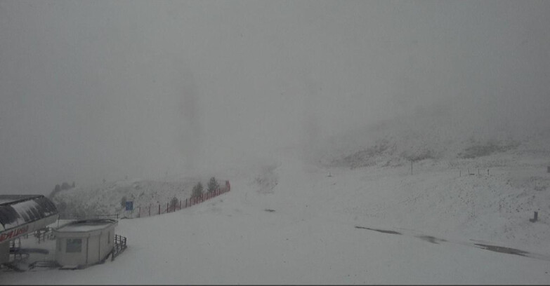 Webcam Bellamonte-Alpe Lusia - Bellamonte Alpe Lusia - Le Cune