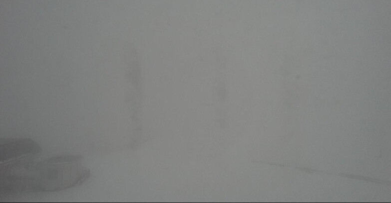Webcam Bellamonte-Alpe Lusia - Bellamonte Alpe Lusia - Le Cune