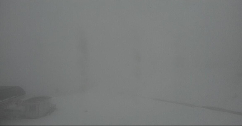 Webcam Bellamonte-Alpe Lusia - Bellamonte Alpe Lusia - Le Cune