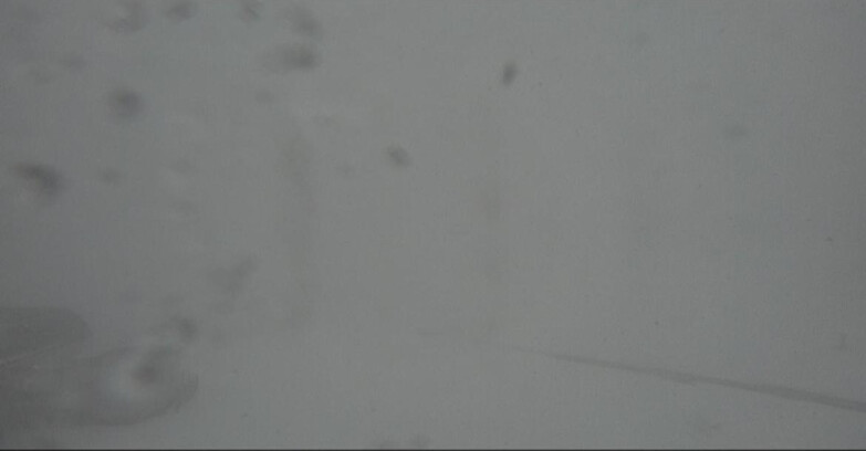 Webcam Bellamonte-Alpe Lusia - Bellamonte Alpe Lusia - Le Cune