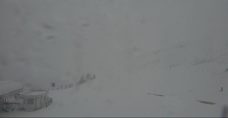 Webcam Bellamonte-Alpe Lusia - Bellamonte Alpe Lusia - Le Cune