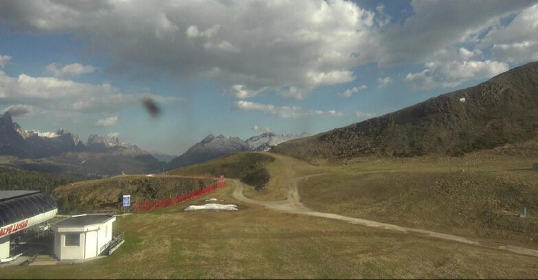 Webcam Bellamonte-Alpe Lusia  - Bellamonte Alpe Lusia - Le Cune
